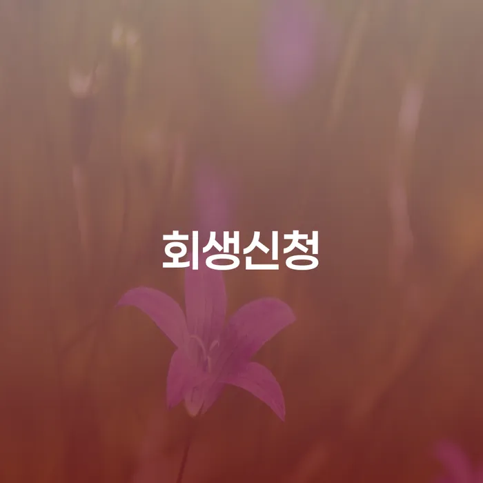 연체전개인회생 추심 대응법 이렇게 진행을