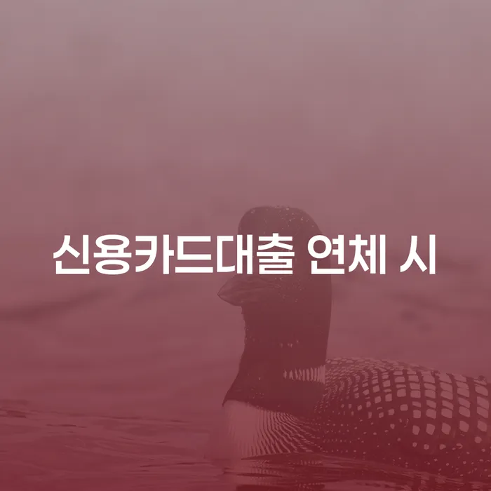 파산회생 개인파산 살고있는