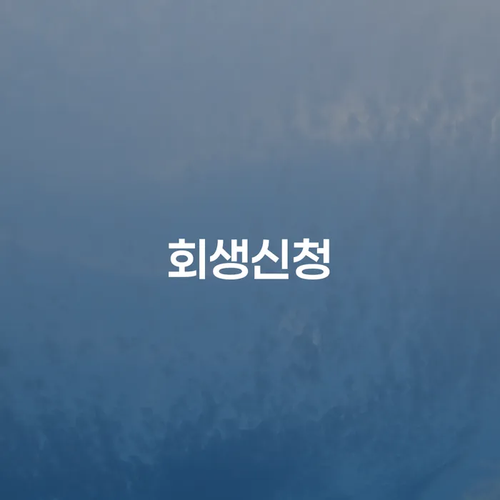 도박개인회생 개인회생 제도 달라진점