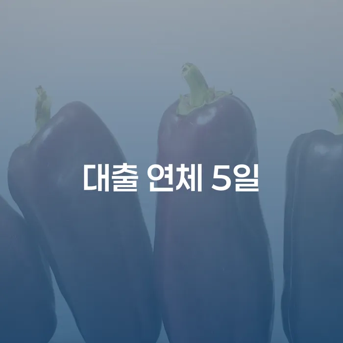 개인회생전자소송 개인회생 해결 가능합니다.