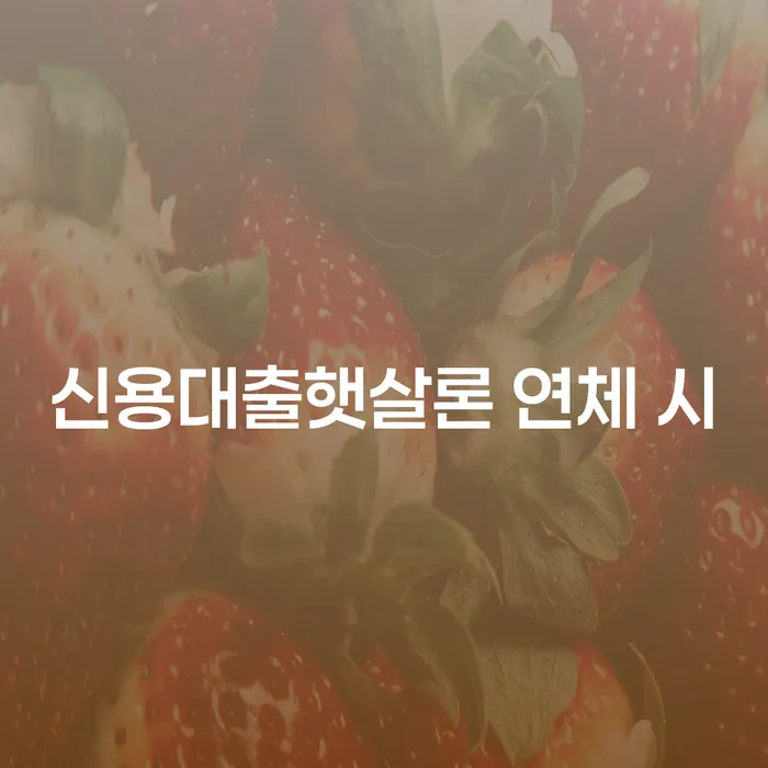 구례군 기대출추가대출 연체 시 대출 받은 돈채무조정 살펴보세요