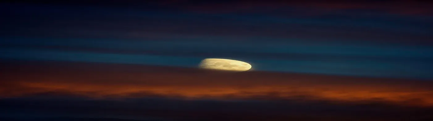 법무법인 서앤율