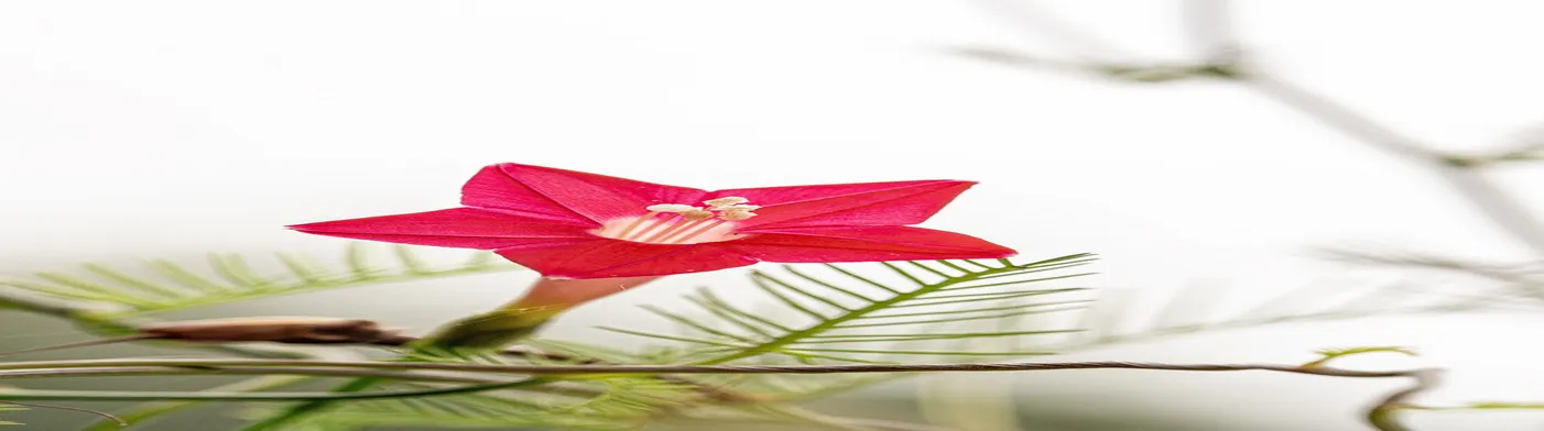 법무법인 서앤율