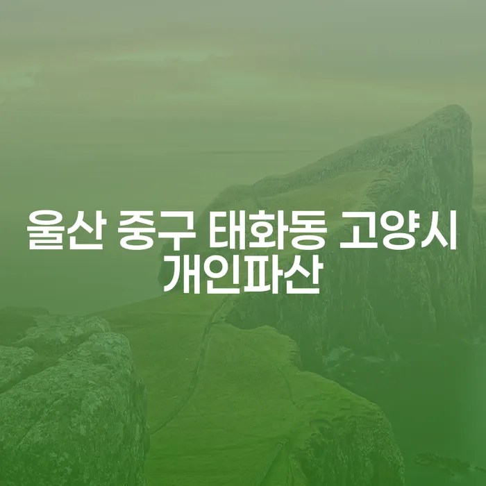 울산 중구 태화동에서 투자실패 4000만원을 개인회생으로 극복할 수 있을까요?