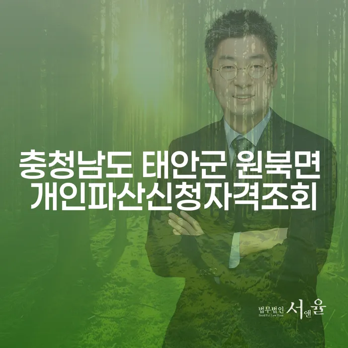 충청남도 태안군 원북면에서 개인파산을 신청할 자격이 있을까요?