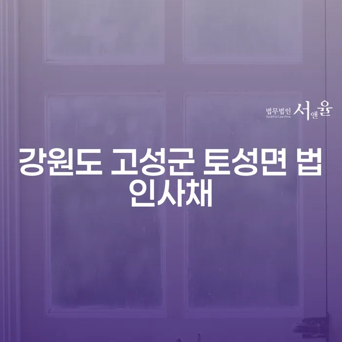 강원도 고성군 토성면 법인사채와 개인회생전문가의 도움, 당신의 선택은?