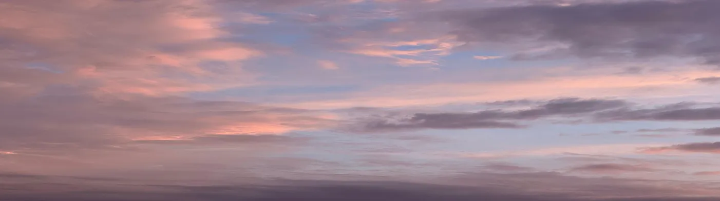 법무법인 서앤율